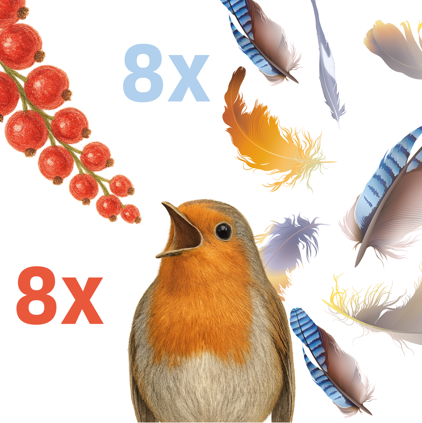 Dry January-Paket (16er-Pack) (inkl. MwSt. & Pfand)