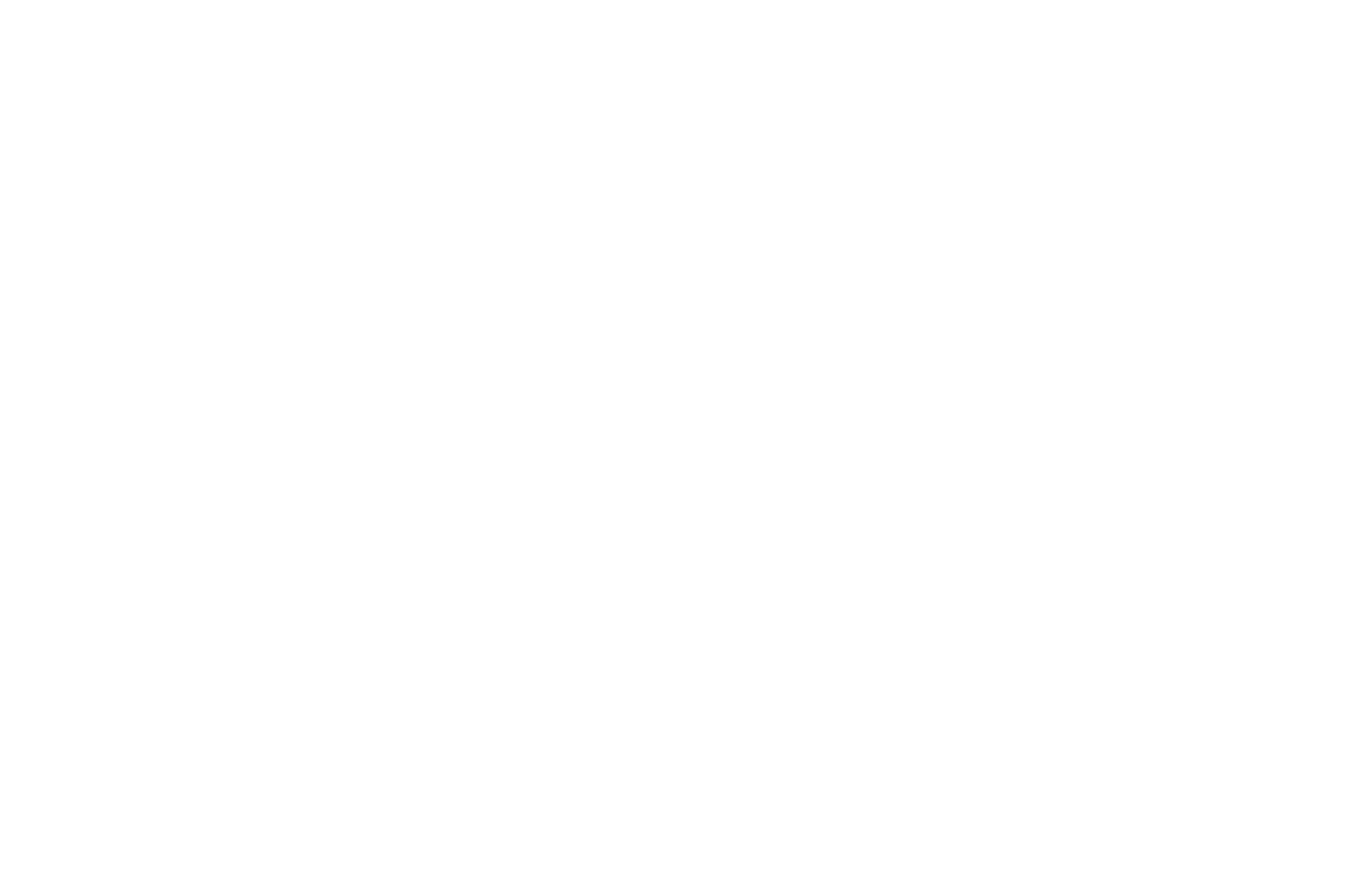 Vogelsang Bier KG