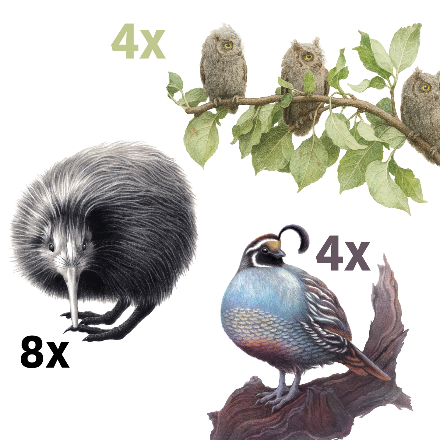 IPA Paket (inkl. Mwst. & Pfand)