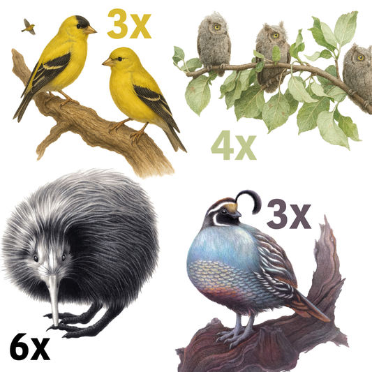 IPA Paket (16er-Pack) (inkl. Mwst. & Pfand)