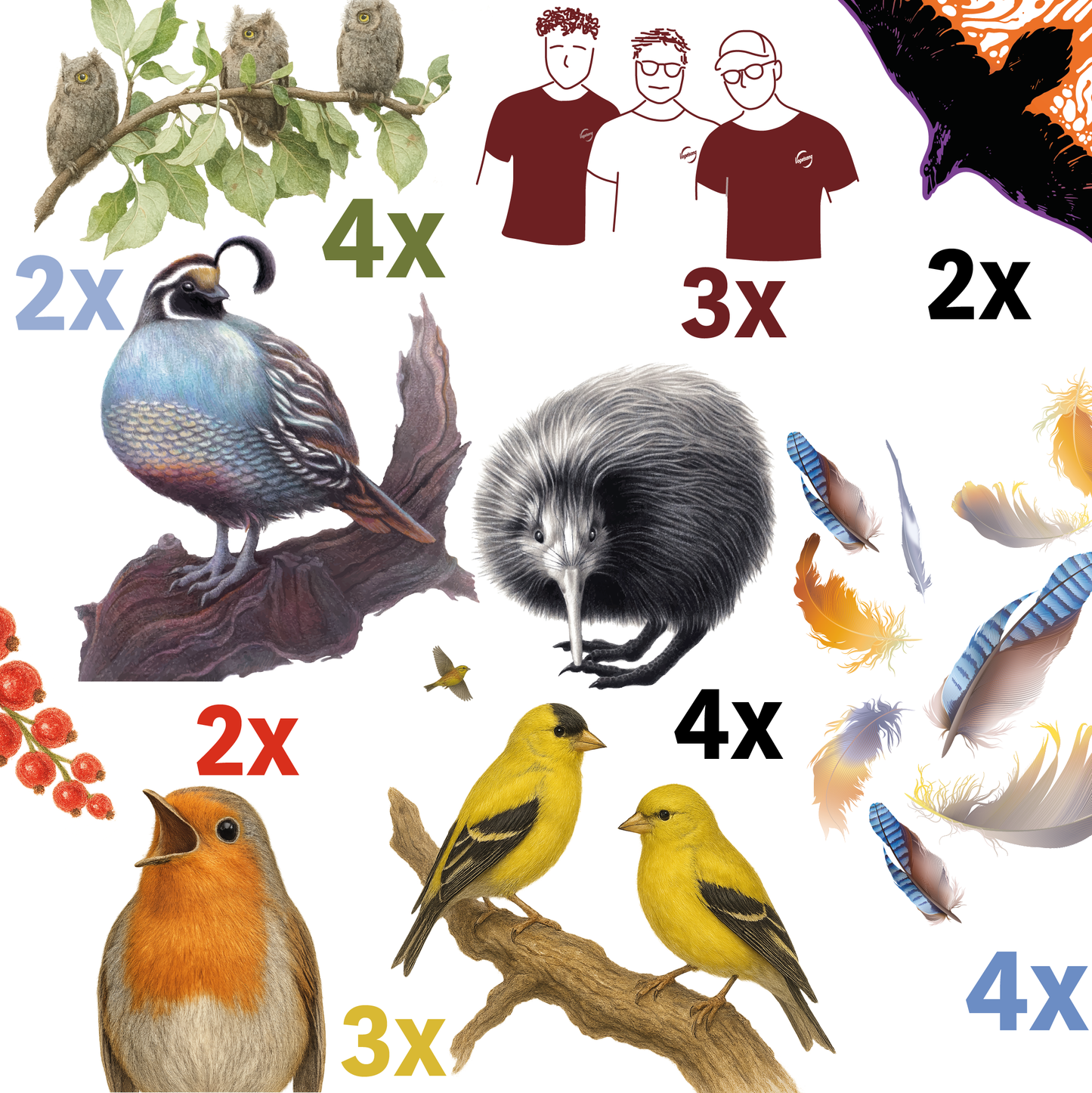 ProBierPaket (24er-Pack in unserem neuen Premiumkarton) (inkl. MwSt. & Pfand)